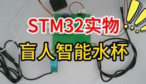 【mcugc-mcu1694】盲人智能水杯的设计与实现