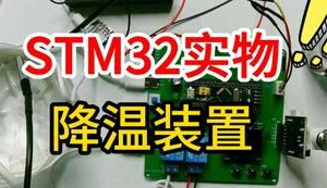 【mcugc-mcu1124】基于STM32单片机的智能鱼缸设计与研究